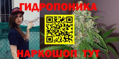 мяу мяу мука Гагарин