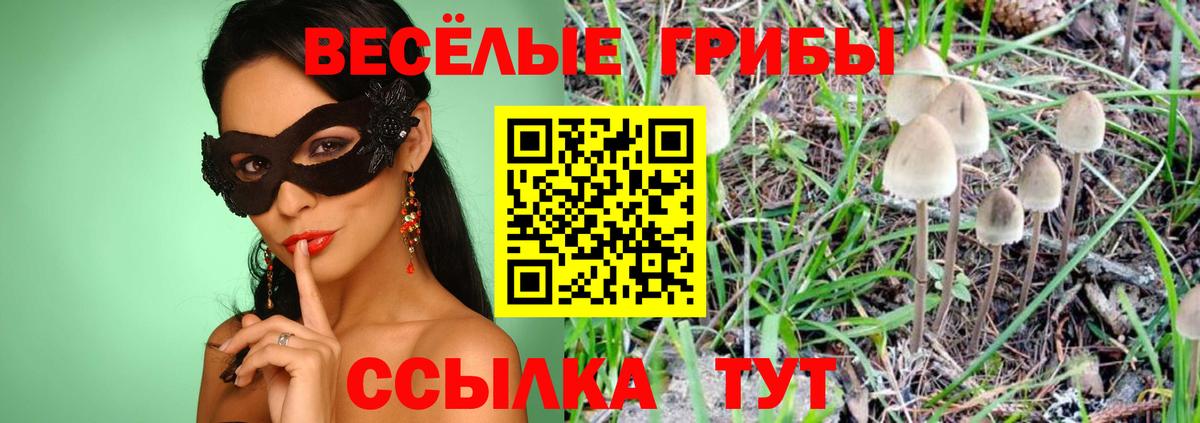 Псилоцибиновые грибы мухоморы  Вход с VPN  Балашиха 